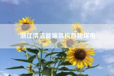 浙江清洁能源装机首超煤电