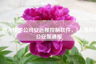 潜入快递公司安远程控制软件，3人落网！公安部通报