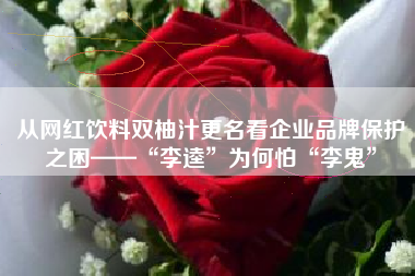 从网红饮料双柚汁更名看企业品牌保护之困——“李逵”为何怕“李鬼”