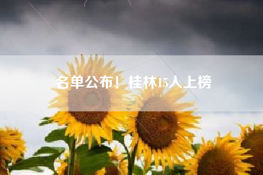 名单公布！桂林15人上榜