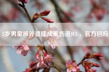 2岁男童被外婆摔成重伤进ICU，官方回应