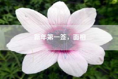 新年第一签，面相