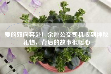 爱的双向奔赴！余姚公交司机收到神秘礼物，背后的故事很暖心