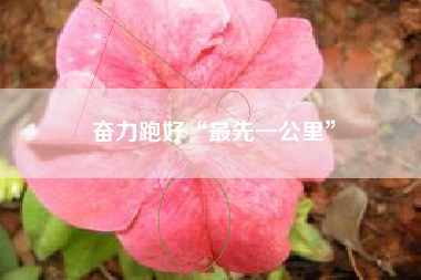 奋力跑好“最先一公里”