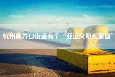 杭州闸弄口街道有个“亚运文明观察团”