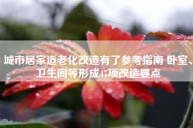 城市居家适老化改造有了参考指南 卧室、卫生间等形成47项改造要点