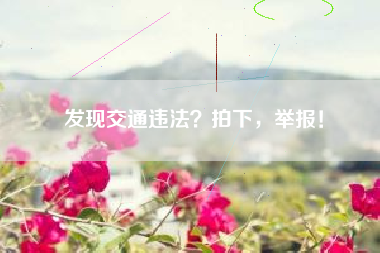 发现交通违法？拍下，举报！