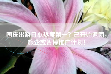 国庆出游日本热度第一？已开始退团，旅企或暂停推广计划！