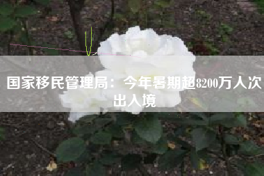 国家移民管理局：今年暑期超8200万人次出入境