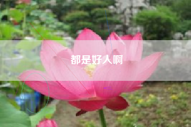 都是好人啊