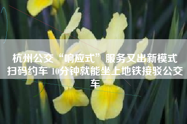 杭州公交“响应式”服务又出新模式 扫码约车 10分钟就能坐上地铁接驳公交车