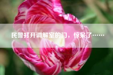 民警打开调解室的门，惊呆了……
