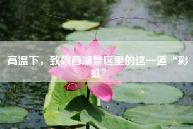 高温下，致敬西湖景区里的这一道“彩虹”