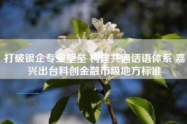 打破银企专业壁垒 构建共通话语体系 嘉兴出台科创金融市级地方标准
