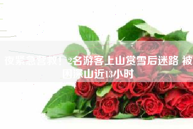 夜紧急营救！2名游客上山赏雪后迷路 被困深山近13小时