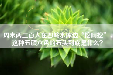 周末两三百人在四岭水库边“挖啊挖”，这种五颜六色的石头到底是什么？