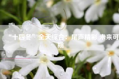 “十四冬”全天综合：尾声精彩 未来可期