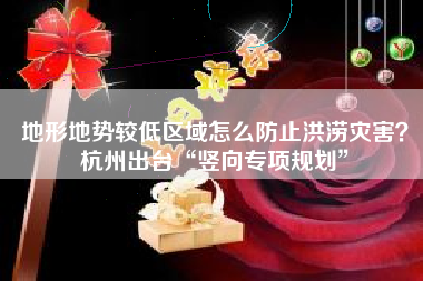 地形地势较低区域怎么防止洪涝灾害？杭州出台“竖向专项规划”