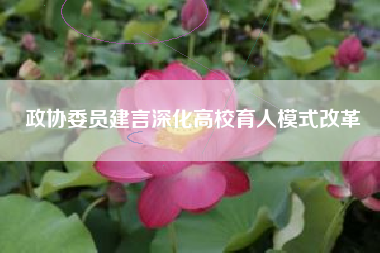 政协委员建言深化高校育人模式改革