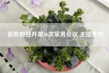 省政府召开第36次常务会议 王浩主持