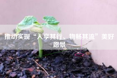 推动实现“人享其行、物畅其流”美好愿景