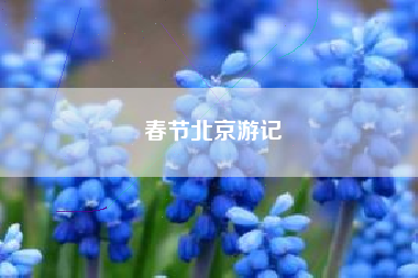 春节北京游记