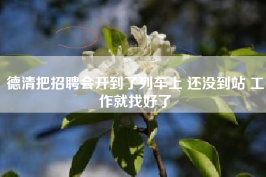 德清把招聘会开到了列车上 还没到站 工作就找好了