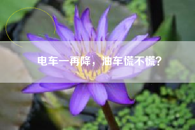 电车一再降，油车慌不慌？