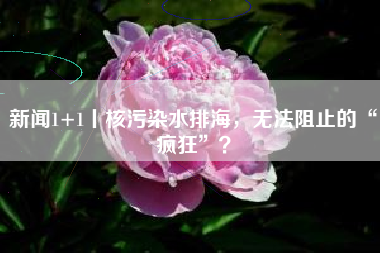 新闻1+1丨核污染水排海，无法阻止的“疯狂”？