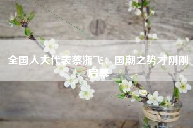 全国人大代表蔡浙飞：国潮之势才刚刚启幕
