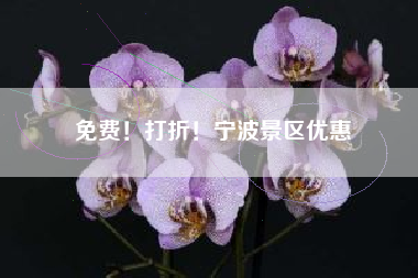 免费！打折！宁波景区优惠