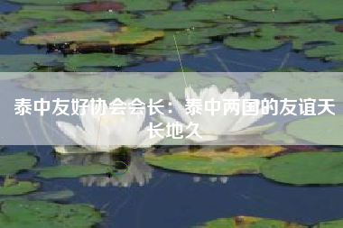 泰中友好协会会长：泰中两国的友谊天长地久