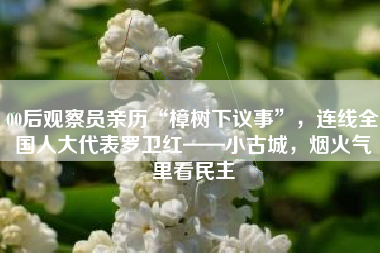 00后观察员亲历“樟树下议事”，连线全国人大代表罗卫红——小古城，烟火气里看民主