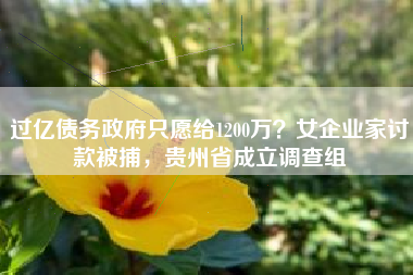 过亿债务政府只愿给1200万？女企业家讨款被捕，贵州省成立调查组