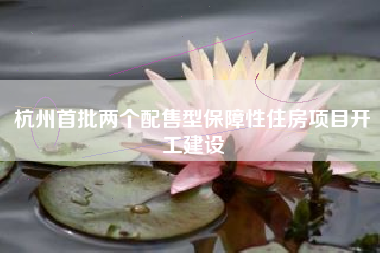 杭州首批两个配售型保障性住房项目开工建设