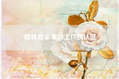 桂林首家零碳工厂获认证