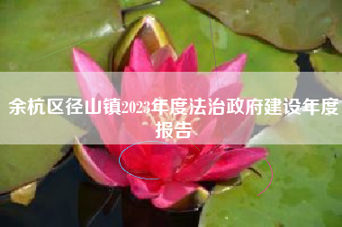 余杭区径山镇2023年度法治政府建设年度报告