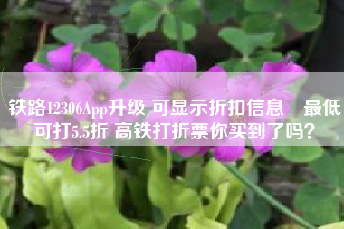 铁路12306App升级 可显示折扣信息 最低可打5.5折 高铁打折票你买到了吗？
