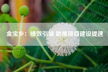 金宝乡：绩效引领 助推项目建设提速