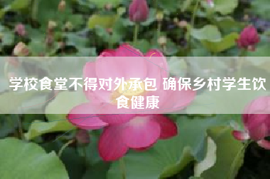 学校食堂不得对外承包 确保乡村学生饮食健康