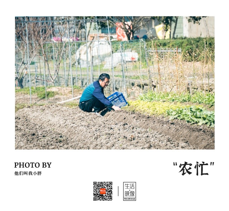 【生活·映像】阳光明媚，春日农忙正当时~