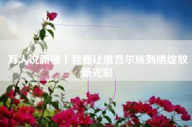 万人说新疆丨我要让维吾尔族刺绣绽放新光彩