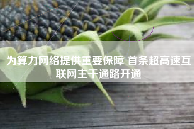 为算力网络提供重要保障 首条超高速互联网主干通路开通