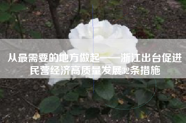 从最需要的地方做起——浙江出台促进民营经济高质量发展32条措施