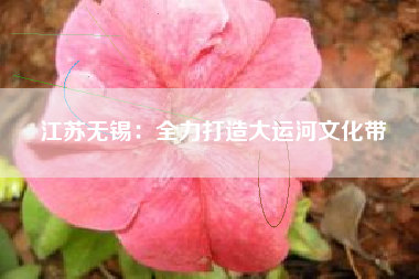 江苏无锡：全力打造大运河文化带