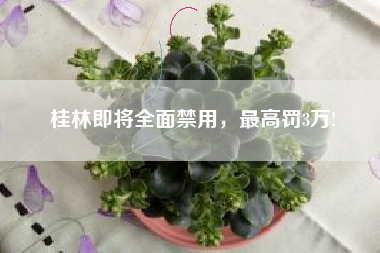 桂林即将全面禁用，最高罚3万!