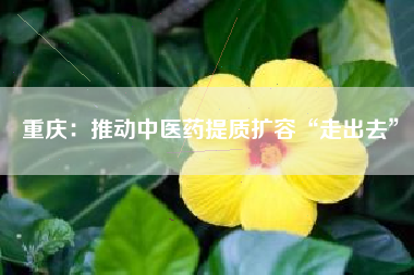 重庆：推动中医药提质扩容“走出去”