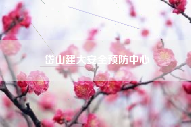 岱山建大安全预防中心