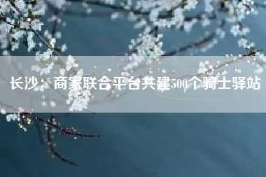 长沙：商家联合平台共建500个骑士驿站