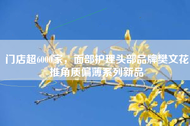 门店超6000家，面部护理头部品牌樊文花推角质偏薄系列新品